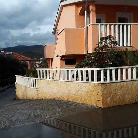Palmino